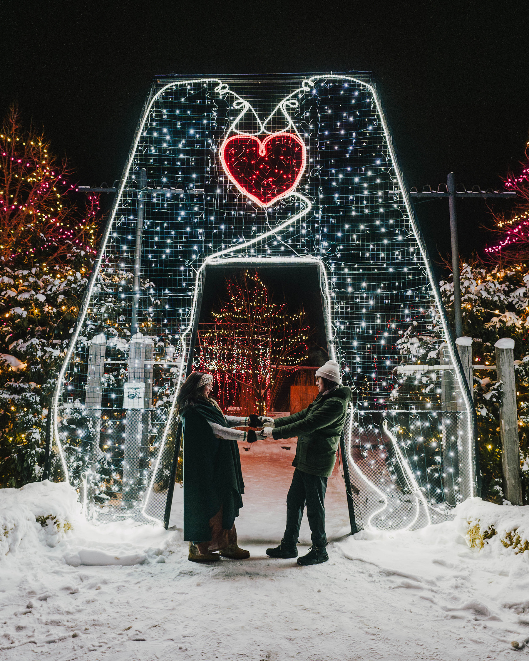 A couple holds hands under two huge polar bear figures covered in lights
